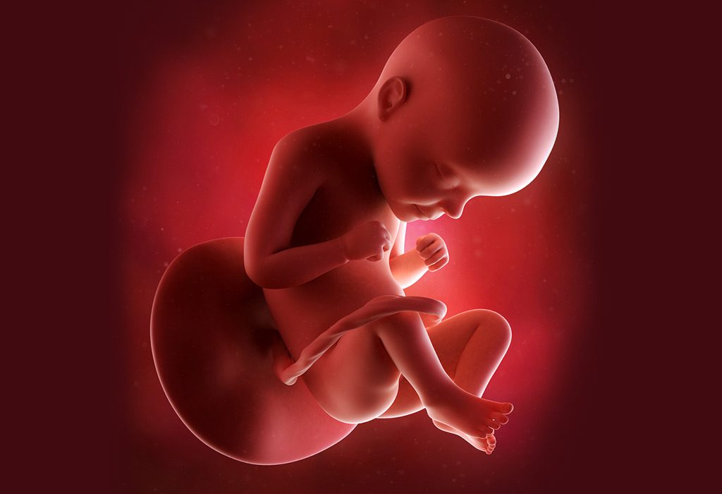الأسبوع 38 من الحمل الأعراض حجم الجنين التغيرات في جسمك والمزيد