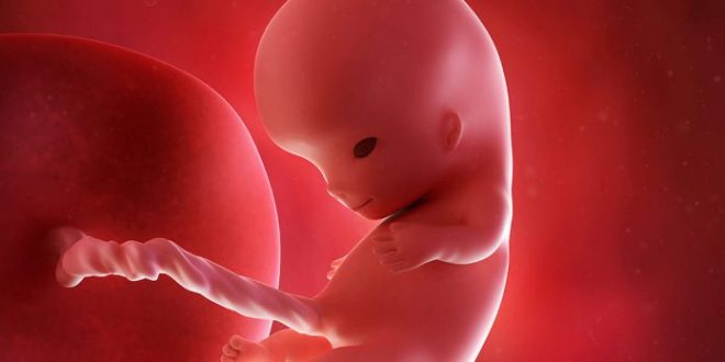 الأسبوع 10 من الحمل: ما الذي يمكن أن تتوقعينه