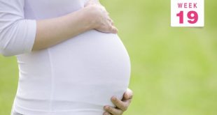 الأسبوع 19 من الحمل: ما الذي يمكن أن تتوقعينه