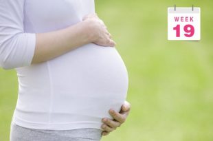 الأسبوع 19 من الحمل: ما الذي يمكن أن تتوقعينه