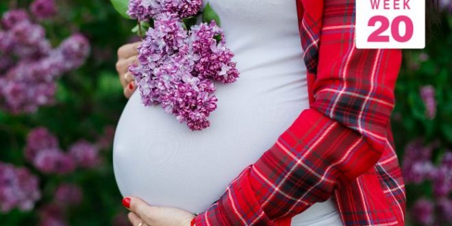 الأسبوع 20 من الحمل: ما الذي يمكن أن تتوقعينه