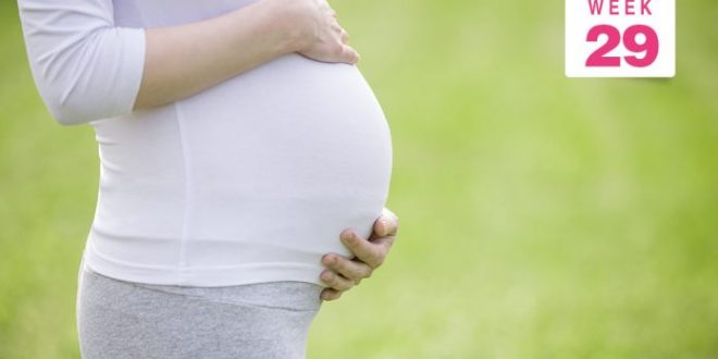 الأسبوع 29 من الحمل الأعراض حجم الجنين التغيرات في جسمك والمزيد