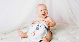 الجدول اليومي للأطفال في عمر 5 و 6 أشهر