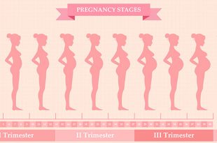 تغييرات جسم الحامل - الأسبوع 1 وحتى الأسبوع 42