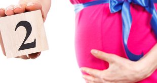 الحمل في الشهر الثاني – تطور الطفل ماذا تأكلين والمزيد