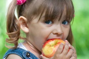 التفاح للأطفال - الفوائد وحقائق مثيرة للاهتمام