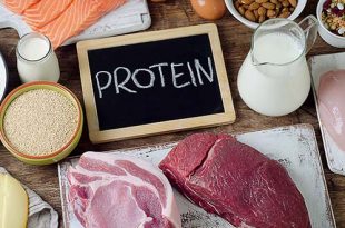 تناول البروتينات أثناء الحمل