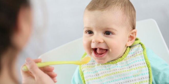 مراحل تغذية الرضيع